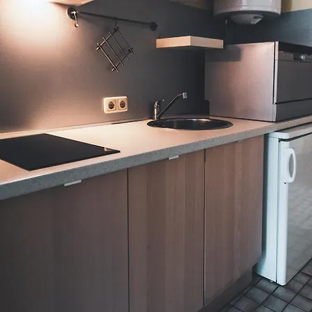 Apartmenthaus Maxl شقة باد هوفغاستين